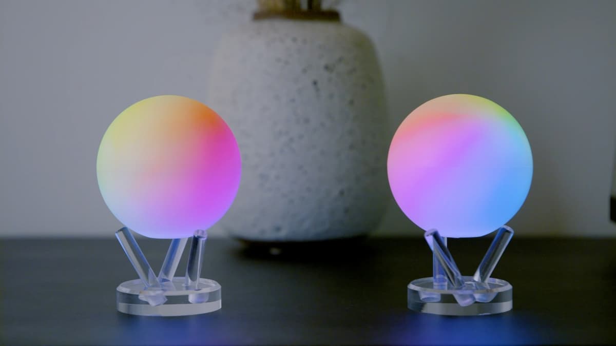 Two Qubis on display stands